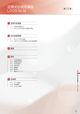 空間光位相変調器 LCOS-SLM
