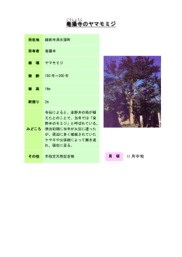 44丹南：毫攝寺のヤマモミジ（PDF形式 175キロバイト）