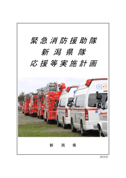緊急消防援助隊新潟県隊応援等実施計画（PDF形式 3131 キロバイト）