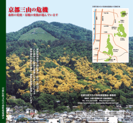 京都三山の危機 - 京都伝統文化の森推進協議会