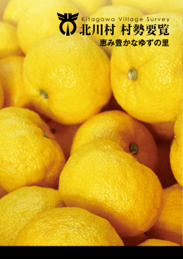 北川村 村勢要覧