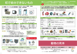 町で処分できないもの、動物の死体（PDF：725.5KB）