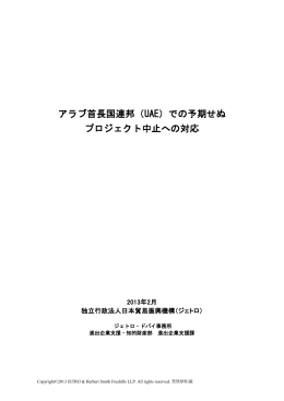 アラブ首長国連邦（UAE）での予期せぬ プロジェクト