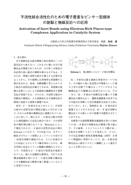 不活性結合活性化のための電子豊富なピンサー型錯体 の創製と触媒