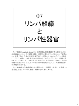 007リンパ組織とリンパ性器官