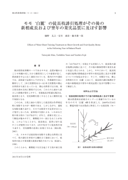 `白麗` の徒長枝誘引処理がその後の 新梢成長および翌年の果実品質に