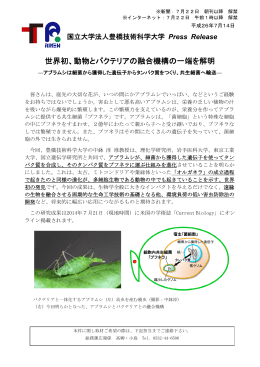 世界初、動物とバクテリアの融合機構の一端を解明