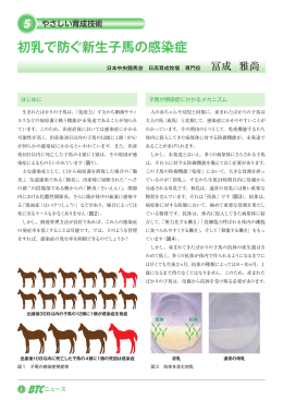 初乳で防ぐ新生子馬の感染症