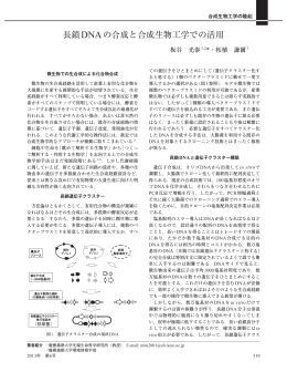 長鎖DNAの合成と合成生物工学での活用