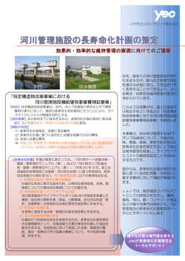 河川管理施設の長寿命化計画の策定 - yec｜八千代エンジニヤリング