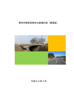 那珂市橋梁長寿命化修繕計画（概要版） 平成26年4月