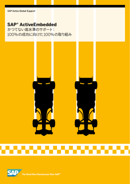 SAP&reg; ActiveEmbedded