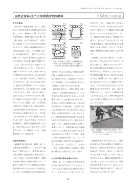 自然史資料としての地層剥ぎ取り標本
