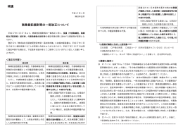 補遺 商業登記規則等の一部改正について