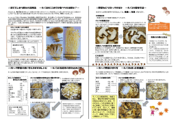 捨ててしまう部分の活用法 ∼キノコはどこまでが食べられる部分