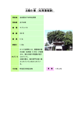 8福井：お館の椿（松岡藩館跡）（PDF形式 83キロバイト）