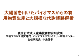 大腸菌を用いたバイオマスからの有 用物質生産と大規模な代謝経路解析