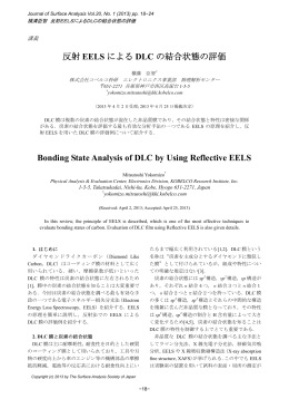 反射EELS によるDLC の結合状態の評価