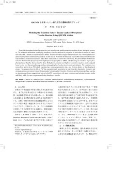 QM/MM 法を用いたリン酸化反応の遷移状態モデリング - J