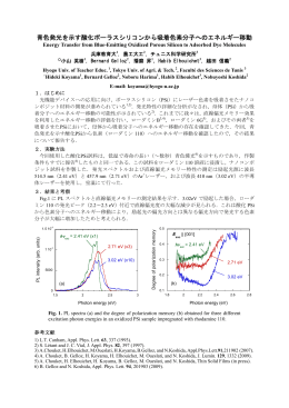 青色発光を示す酸化ポーラスシリコンから吸着色素分子へのエネルギー