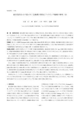 耐汚染性を示す陰イオン交換膜の開発とファウリング機構の解明 (II)