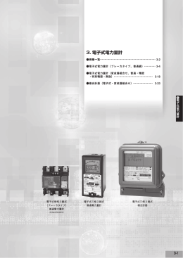 電子式電力量計 PDF