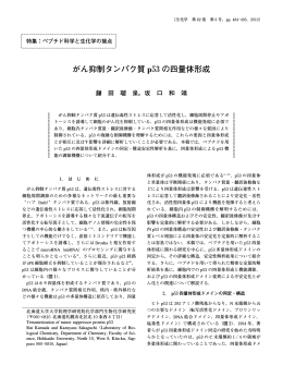 がん抑制タンパク質 p53の四量体形成