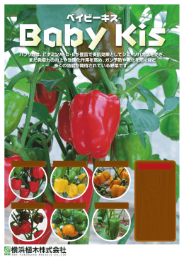 ベイビーキス チラシ（PDF版）