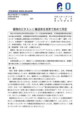 植物のビタミン C 輸送体を世界で初めて同定