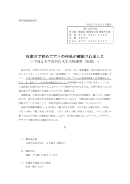 石津川で初めてアユの仔魚が確認されました