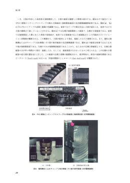 一方，き裂が内在した成形体を強制開放して，き裂の破面を観察した事例