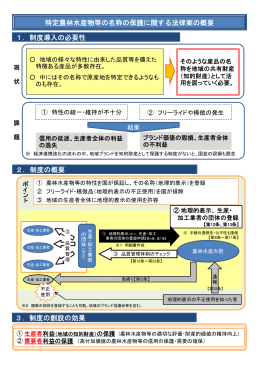 特定農林水産物等の名称の保護に関する法律案の概要 1