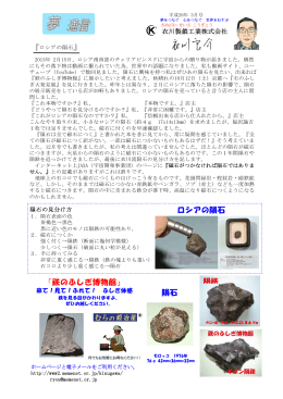 『鉄のふしぎ博物館』 隕石 ロシアの隕石