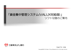 「資金集中管理システム(VALUX対応版）」ソフト