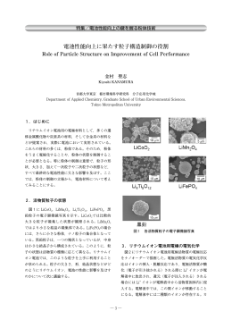 電池性能向上に果たす粒子構造制御の役割