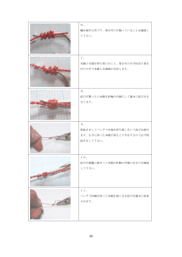 鯛ラバー虎の巻（下）
