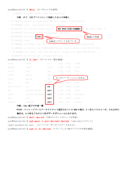 USB外付けマウントコマンド（一例）