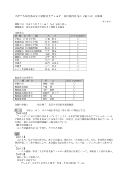 平成25年度第1回会議録（PDF：206KB）
