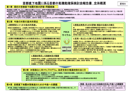 首都直下地震に係る首都中枢機能確保検討会報告書 全体概要