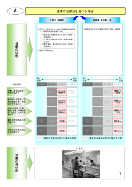 通常の治療法を受ける場合 負傷の 状 態 負傷の具体例