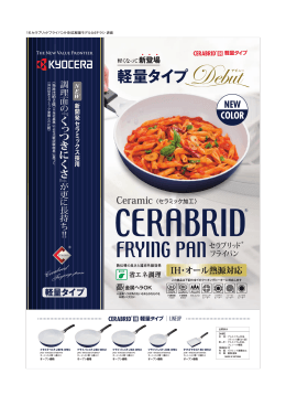 軽量タイプDebutデビュー