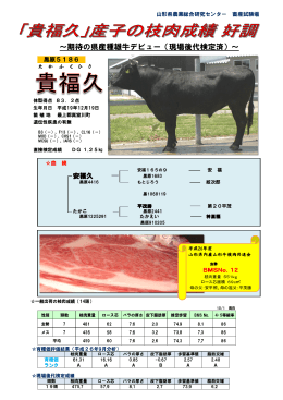 ～期待の県産種雄牛デビュー（現場後代検定済）～