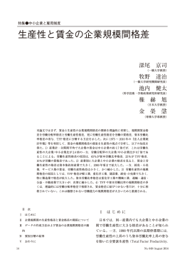 生産性と賃金の企業規模間格差（PDF：928KB）