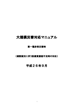 大規模災害対応マニュアル 大規模災害対応マニュアル