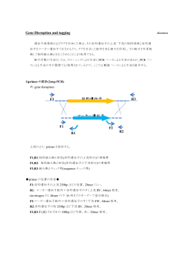 マーカー遺伝子 目的遺伝子