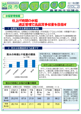 仕上げ時期の水稲 適正管理で高品 品質多収量を目指す