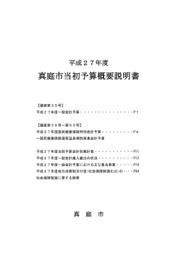 平成27年度当初予算の概要