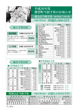平成26年度 那賀町当初予算のお知らせ