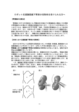 ロボット支援腹腔鏡下腎部分切除術（PDF形式）