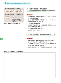 14 b．表皮下水疱症（類天疱瘡群）